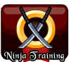 badge Ninja Training Completed