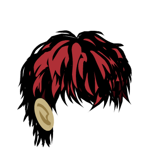 James Lee Hair