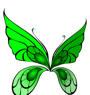 Wanderer Fairy Wings Green