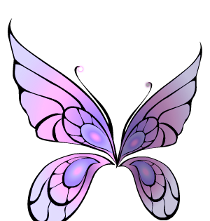 Wanderer Fairy Wings Pink