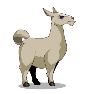 LLama male