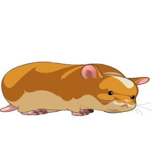 Hamster Entity