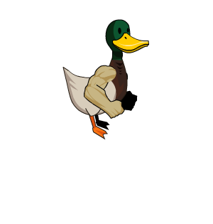 DucknorrisNPC