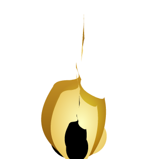 ShadowFire Eternal Flame
