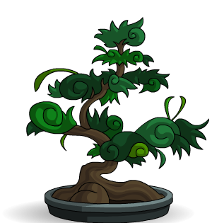 Bonsai Tree