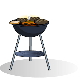 Small BBQ Grill