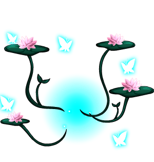 Lake Druid's Flora + Fauna Cape