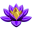 Flower Power