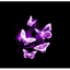 Butter Fly Spherical