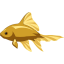 goldfish spawn